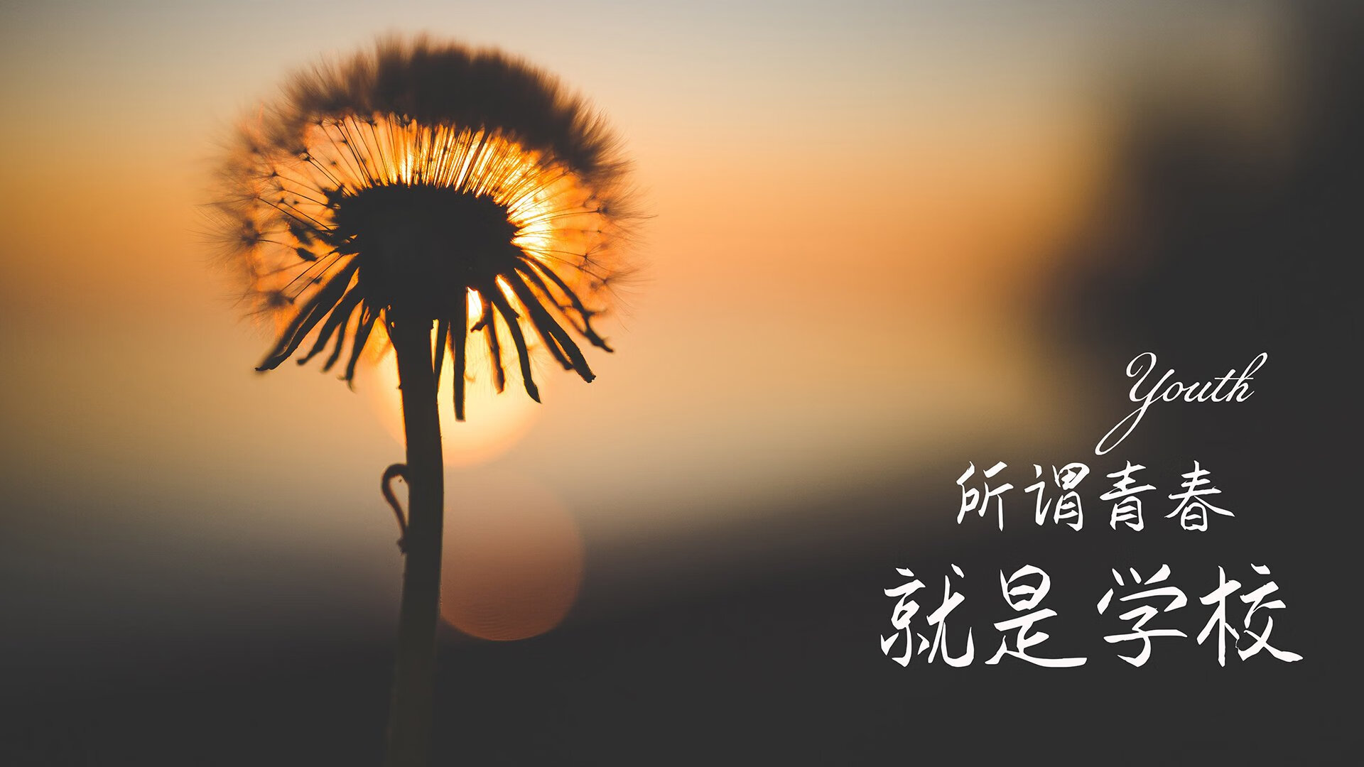 凯尔特人设“守护绿军”计划，致敬幕后工作者，绿军凯尔特人阵容