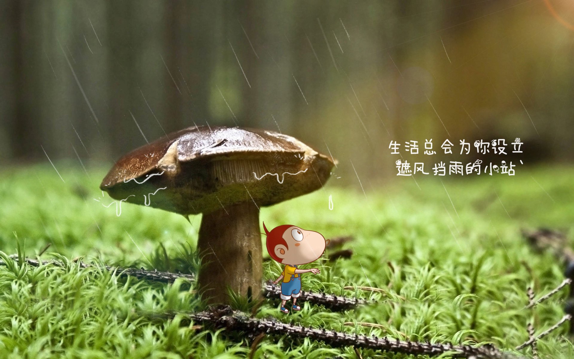 圣保罗后卫卢卡斯·贝拉尔多加盟葡萄牙球队，寻求更多机会，保罗贝尔纳多和卡拉