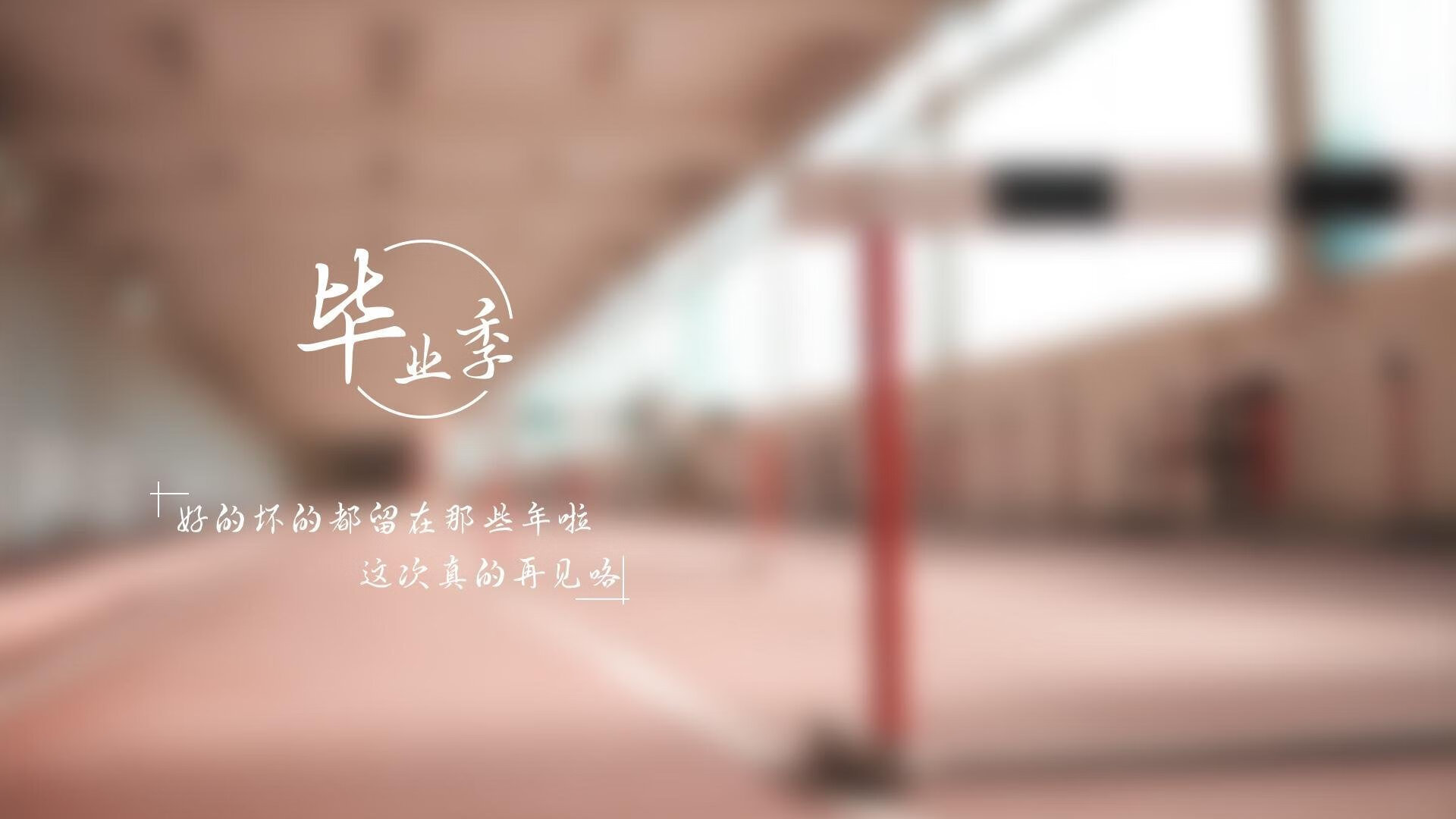诺维奇攻防两端表现平衡，迎来曙光，诺维奇厉害吗