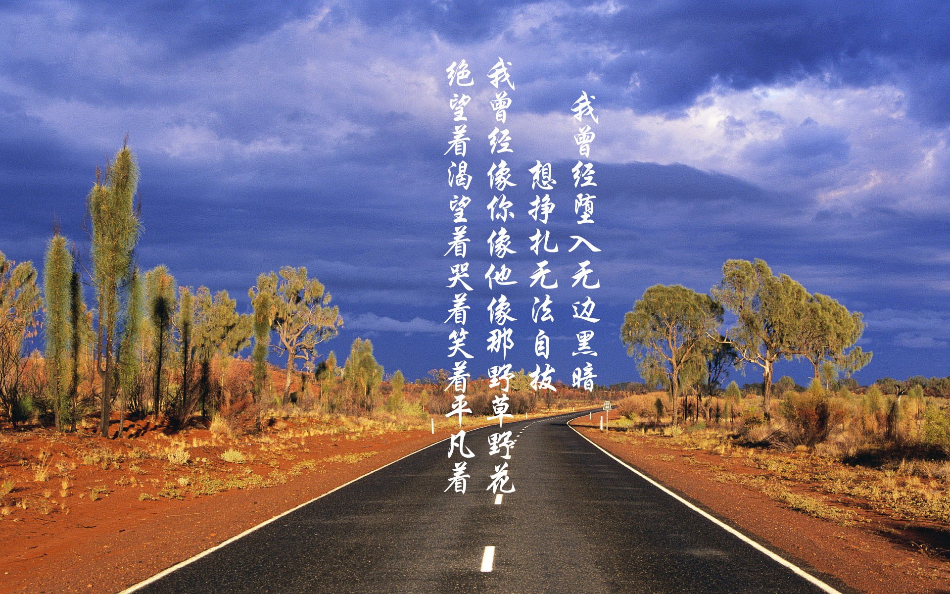 世俱杯：连续晋级的挑战与机遇，世俱杯啥意思